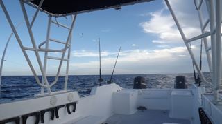 Pescuit Marea Caraibelor